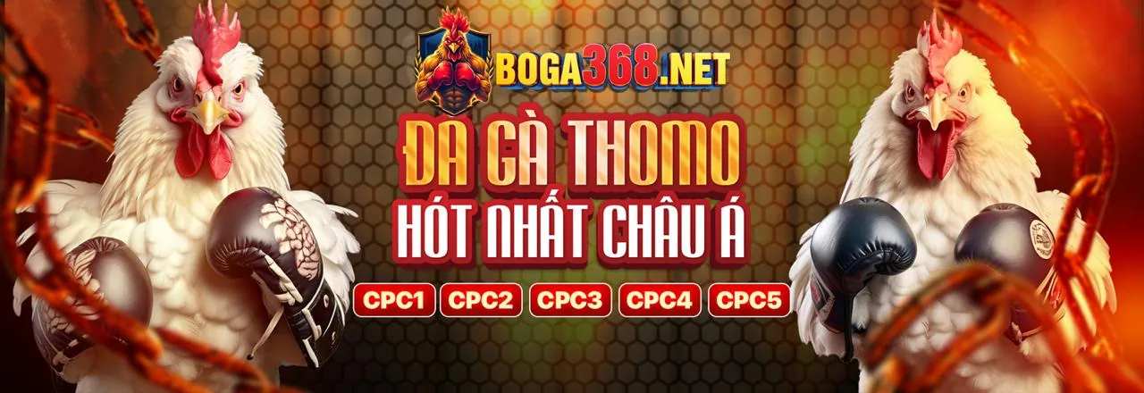 Câu hỏi thường gặp về hi888 Nổ Hũ