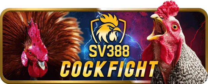 Hỗ Trợ Khách Hàng 24/7 hi888